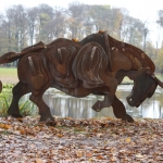 stier stier