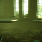 Greenhouse -Inside - Greenhouse -Inside -