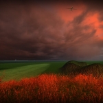Virtual landscape with drone 001 Virtual landscape with drone 001