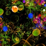 "Algae Garden 002" "Algae Garden 002"