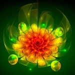 "Green Orange Lotus seeds" "Green Orange Lotus seeds"