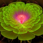 " Lotus red hart " " Lotus red hart "