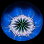 " Lotus Blue" " Lotus Blue"