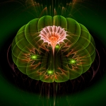 Lotus pink green Lotus pink green