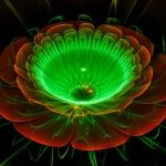 Lotus flower red Lotus flower red