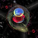 “ The Entwined Knowledge ” “ The Entwined Knowledge ”