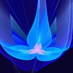 butterfly3D butterfly3D