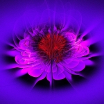 2018 spherical lotus red heart 2018 spherical lotus red heart