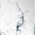 M2021044A M2021044A