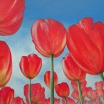 Tulpen - serie Holland Tulpen - serie Holland