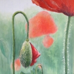 Zomergevoel 3 - Poppie Zomergevoel 3 - Poppie