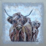 Schotse Hooglanders Schotse Hooglanders