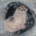 Otter Otter