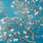 Amandalbloesem Van Gogh Amandalbloesem Van Gogh