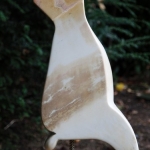 Vogel Vogel