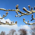 Wijchen, Nederland Wijchen, Nederland