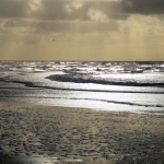 Texel, Nederland Texel, Nederland