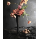 Tulpen noten Tulpen noten