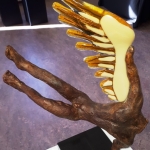 Icarus Icarus