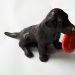 Labradorpup met frisbee Labradorpup met frisbee