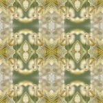 Iris Iris