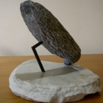 steenspecht steenspecht