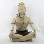 Shiva Shiva