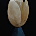 Tulp Tulp