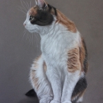 Kattenportret Kattenportret