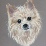 Duffy Duffy