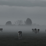Natuur Natuur