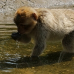Natuur Natuur