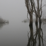 Natuur Natuur