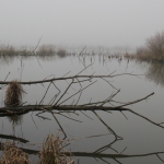 Natuur Natuur