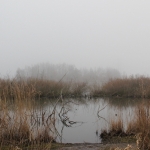 Natuur Natuur