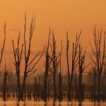 Natuur Natuur