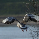 Natuur Natuur