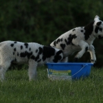 Natuur Natuur
