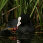 Natuur Natuur