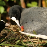 Natuur Natuur