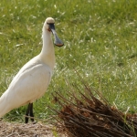 Natuur Natuur
