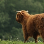Natuur Natuur