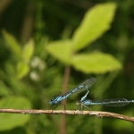 Natuur Natuur