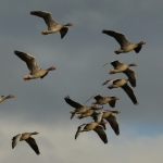 Natuur Natuur
