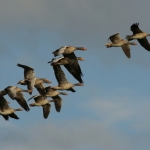 Natuur Natuur