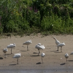 Natuur Natuur