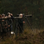 De Veluwe De Veluwe