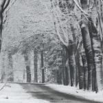 De Veluwe De Veluwe