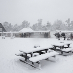 De Veluwe De Veluwe