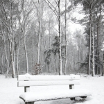 De Veluwe De Veluwe